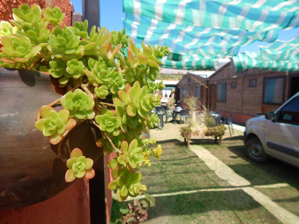 Hostal Del Suri Cafayate Eksteriør bilde